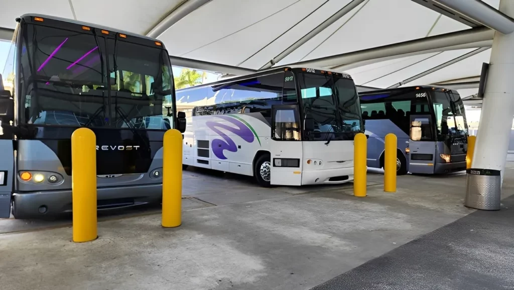 Three charter buses, two dark and one white with purple design, are parked under a canopy. Yellow bollards line the area, providing structure and safety.