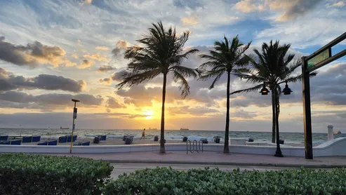 Sunset over the ocean framed by palm trees, with a boardwalk in the foreground. The scene captures a serene beach atmosphere and natural beauty.